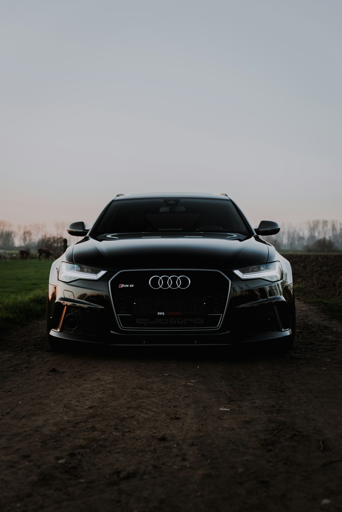 Premium Audi RS6 Avant